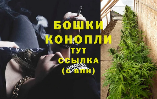 гидра Волосово