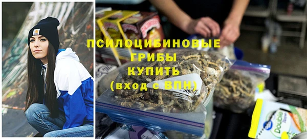 гидра Волосово