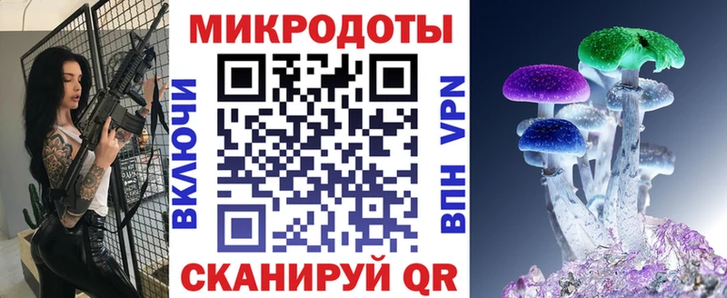 Псилоцибиновые грибы Psilocybe  Калач-на-Дону 